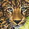 Crystal Art Kit | Diamond Painting Leopard