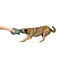 Hondenspeelgoed Hunter Tough Tundra Groen Uil
