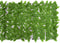 vidaXL - Balkonscherm - met - groene - bladeren - 200x75 - cm