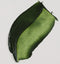 Van Gogh - Olieverf - 200ml Sapgroen 623