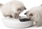 Catit PIXI - Slimme Feeder - 6 maaltijden van 170ml - Wit