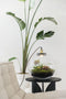 Growing Concepts DIY Duurzaam Ecosysteem Demeter lamp - H38xØ37cm