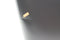 Brabantia Bo Touch Bin - Prullenbak - 2 x 30 liter - Soft Touch - Matt Black (2 stuks)