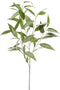 Emerald - Kunsttak Eucalyptus 93cm - Kunstplanten voor binnen