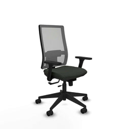 Piqueras y Crespo 3D066N0 - Bureaustoel - Verstelbare hoogte met armleuning - Zwart