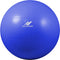 Rucanor Fitness Gymbal Met Handpomp 90 Cm Pvc Blauw