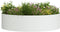 vidaXL - Tuinplantenbakken - 5 - stuks - Wit - 80x80x20 - cm - Staal