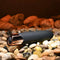 Evolved - The Gold Standard Bullet Vibrator - Zwart