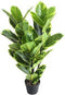 Decoratieve plant DKD Home Decor Polyethyleen Stads 40 x 40 x 90 cm