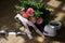 Colop 154886 - Ribbon Guide 15/25 - Lintgeleider - Kleurloos