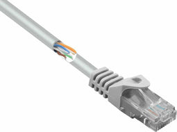Renkforce RF-5043978 RJ45 Netwerkkabel, patchkabel CAT 5e U/UTP 0.15 m Grijs Snagless 1 stuk(s)