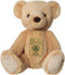 Eco Nation - Pluche knuffel - Teddybeer - Thema speelgoed dieren - 28 cm