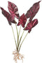 PTMD Leaves Plant Caladium Bos Kunsttak - 44x31x53 cm - Bordeauxrood