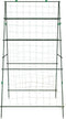 vidaXL - Plantenklimrekken - 2 - st - A-frame - staal