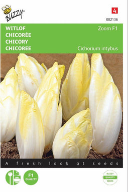 2 stuks - Buzzy - Brusselse Witlof Zoom F1