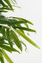 Mica Decorations Bamboe Kunstplant in Pot - H150 x Ø60 cm - Groen