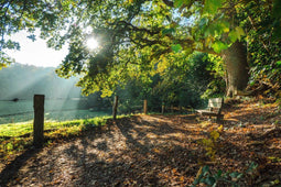 Customize it - Tuinschilderij morning md 130x70