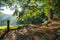 Customize it - Tuinschilderij morning md 130x70
