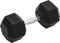 vidaXL - Halters - 20 - kg - gietijzer