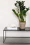 Zuiver Glazed Salontafel 93x42,5 cm Zwart