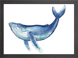 WALVIS A2 POSTER IN LIJST - JOYIN