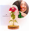 Nonchi Roos in Glazen Stolp - LED Verlichting - Gouden Roos - Cadeau voor Vrouw - Inclusief Giftbox