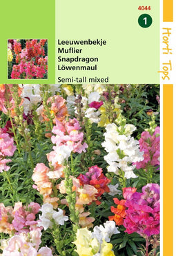 2 stuks - Hortitops - Antirrhinum Majus Nanum Gemengd