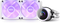 NZXT Kraken 240 - AIO Vloeistofkoeler 240mm - LCD-scherm RGB-ventilatoren - Wit