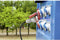 Sygonix SY-5244050 Stroom Verlengkabel 16 A Zwart 10 m H07RN-F 5G 1,5 mm² Weerbestendig, Geschikt voor buiten