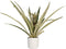 Decorum Ananas Champaca met Elho B.for soft white – ↨ 55cm – ⌀ 14cm