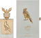 Shaheen Gold Eau De Parfum (edp) 100ml