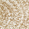 vidaXL - Vloerkleed - handgemaakt - 180 - cm - jute - zwart - en - bruin