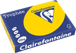 Clairefontaine Trophée Pastel, gekleurd papier, A4, 120 g, 250 vel, goudgeel