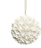 De Bloemen Schelpenbal - Wit - L