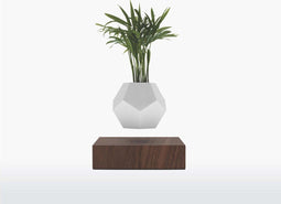 LYFE Planter – Zwevende plant – Walnoot hout