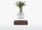 LYFE Planter – Zwevende plant – Walnoot hout
