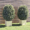 vidaXL - Plantenbakken - 2 - st - 40x40x40 - cm - massief - grenenhout - wit