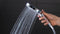 Hansgrohe Raindance Select S 120 - Handdouche - 3 straalsoorten - Wit/chroom