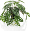 Emerald - Kunstplant in pot Monstera Monkey 55cm - Kunstplanten voor binnen