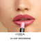 L’Oréal Paris Infaillible 24H Lipstick - Verzorgende Lippenstift Verrijkt met Hyaluronzuur - 113 Invincible Sable -5.7 ml