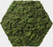 Hexagon wandtegel | Moswand | Groen | Zelfklevend | ↑21CM - 24CM