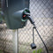 Carpoint Laadkabel - Type 2 naar Type 2 - 32A 3-fase 6 meter - Zwart