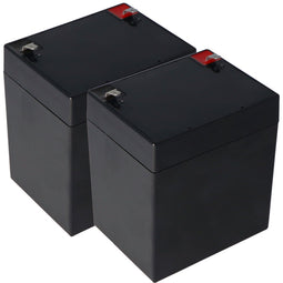 Fiamm FG20451 PB - Accu - 12 Volt 4.5Ah