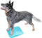 FitPAWS Huisdieren balanshelling 35x35x7 cm blauw