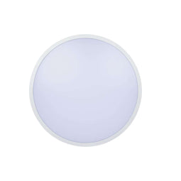 Ledlamp Silver Electronics 490501