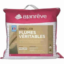 BLANREVE Set van 2 kussens met veren - 60x60 cm