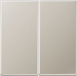 Jung Aluminium/Goudstaal/Chroom Bedieningselement/Centrale Plaat Schakelmateriaal - ES2995 - E28CH