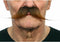 Snor My Other Me Vrachtwagen