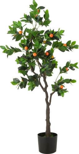 J-Line Kumquat Boom In Pot Plastiek Groen/Oranje Large