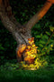 Garden Lights: Rubum Plus Grondspot 12 Volt - Zwart